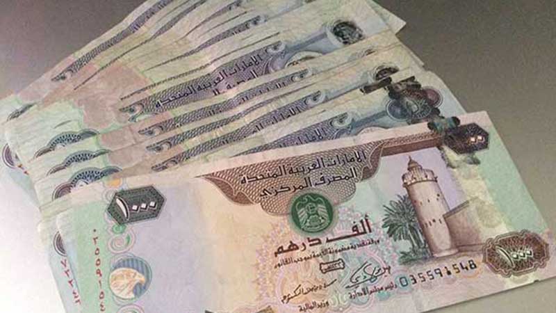 UAE Federal Debt Law coming this year