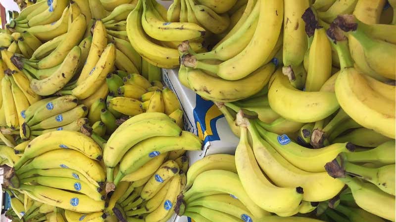 China lifts import ban on Philippine bananas