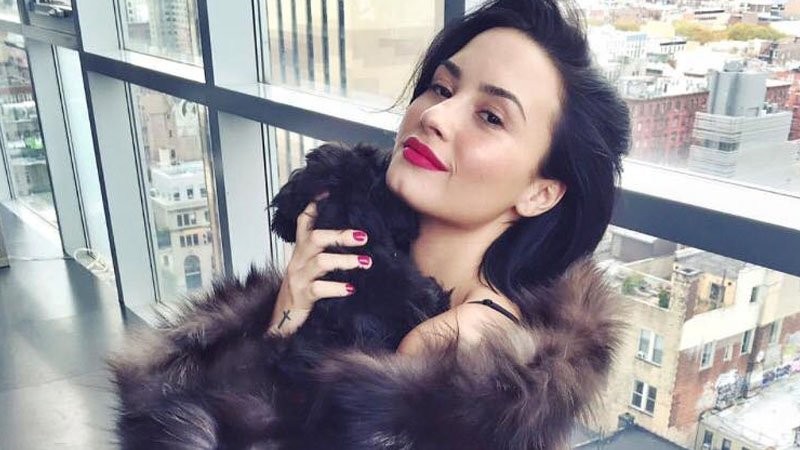 Is Demi Lovato ending her showbiz career?