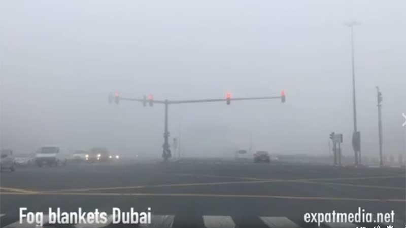 Fog to continue to shroud Dubai after foggy weather delays flights