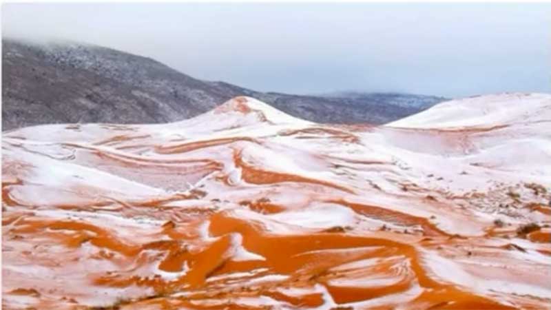 Sahara desert covered with snow for the 1st time in 37 years