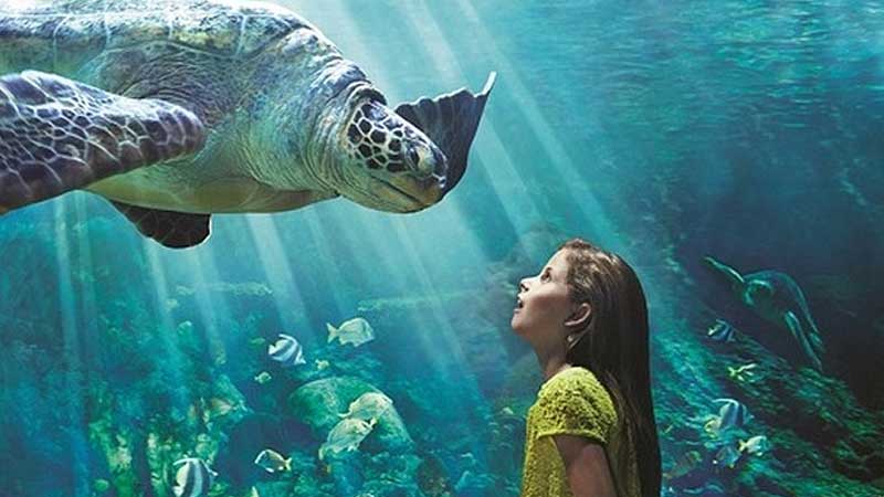 SeaWorld Park to open in Abu Dhabi