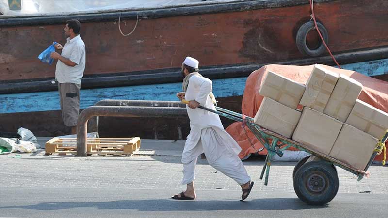 FNC to debate employment limit for expats