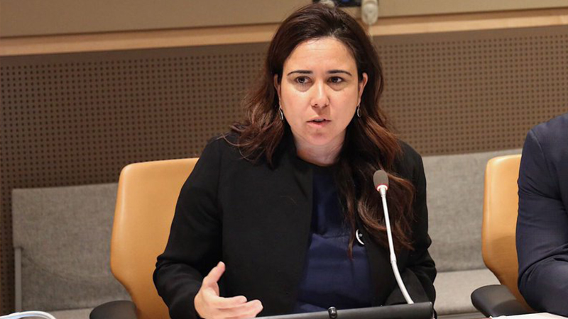 UAE envoy to UN picked as head of women's executive board