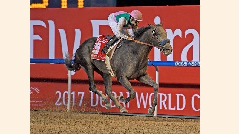 'Hollywood-type finish' as Arrogate wins Dubai Cup