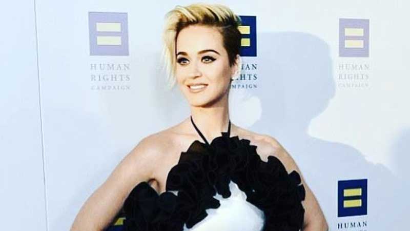 Katy Perry joins 'American Idol' reboot as judge