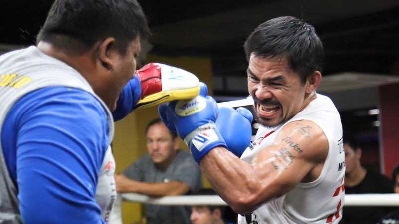 Pacquiao on track to regaining fighting form