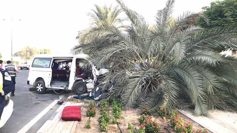 Dubai minibus crashes into tree, injures 13
