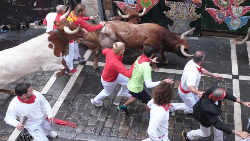 10 gored, injured in Pamplona bull run
