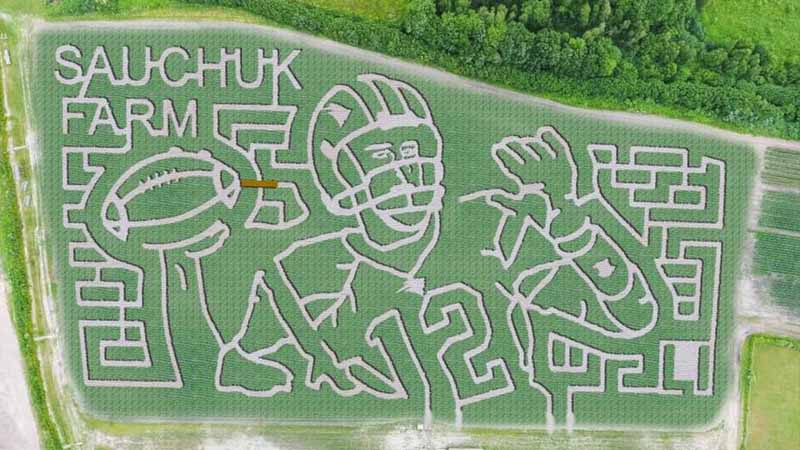 US farm to honor footballer with corn maze image