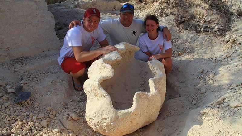 World’s biggest giant clam shell lands in Dubai