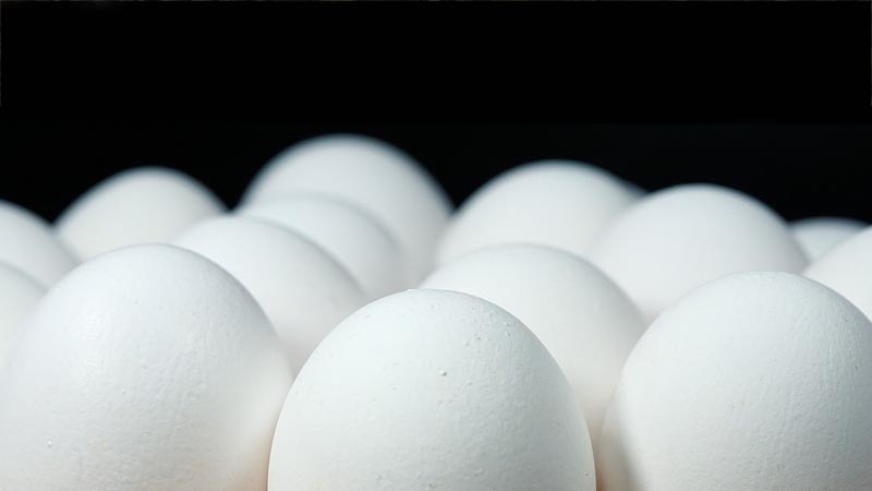 Contaminated eggs scandal spreads from Europe to Asia