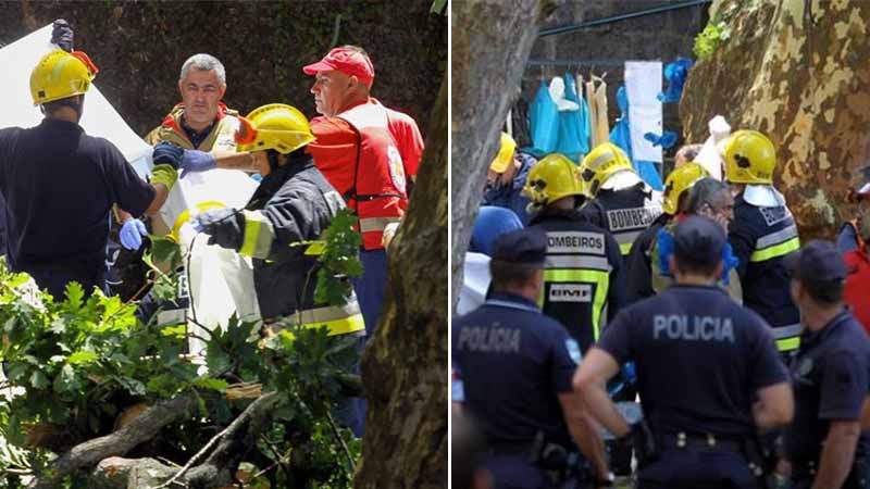 Massive falling tree kills 13 in Catholic fest