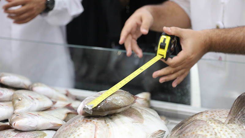 Surprise Ajman Fish Market inspections net violators
