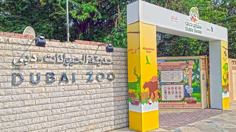 After 50 years, Dubai Zoo is closing down in November