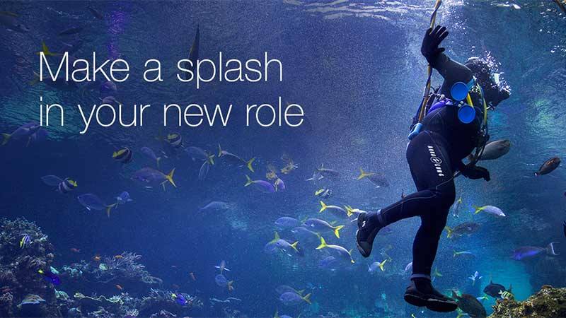 Mermaid, merman wanted: Is this the best job in Dubai yet?