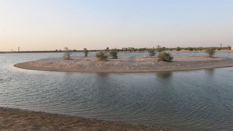 Legal action, Dh500 fine for doing these in Al Qudra Lake