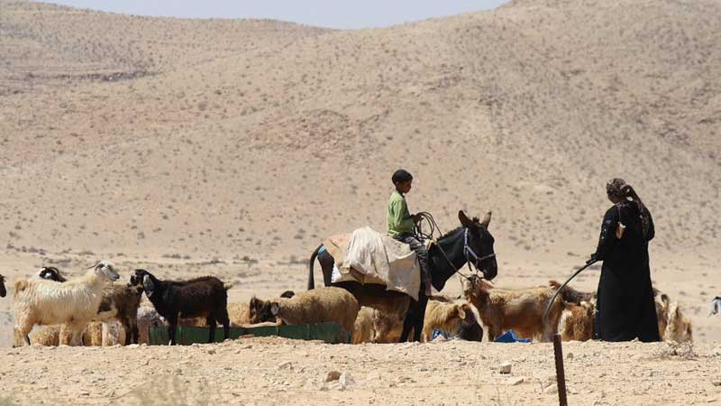Missing farm worker found murdered in Dubai