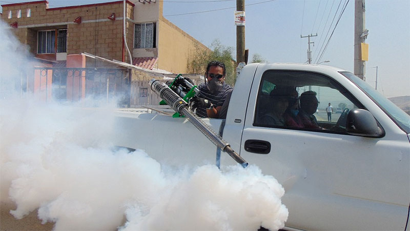 Dubai's most pest infested areas revealed