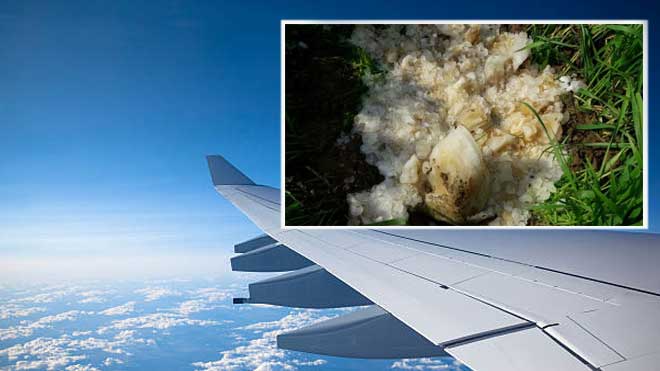 ‘Extra-terrestrial’ object that fell from sky may be ‘airline poo’
