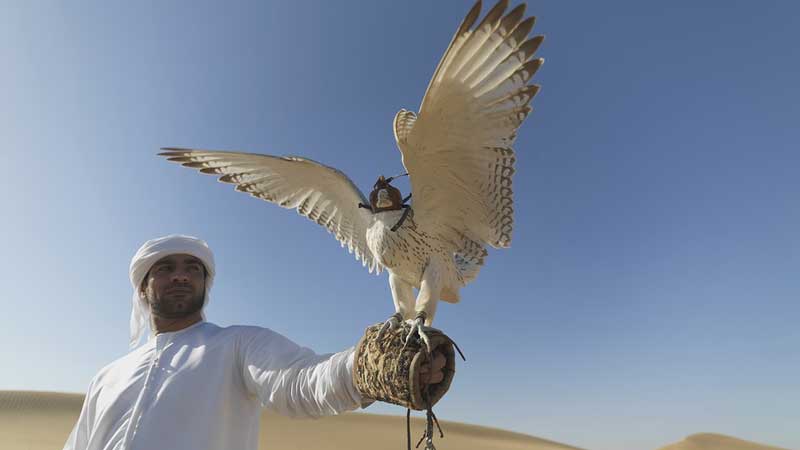 More than 350 exhibitors to attend Saudi Falcons and Hunting Expo