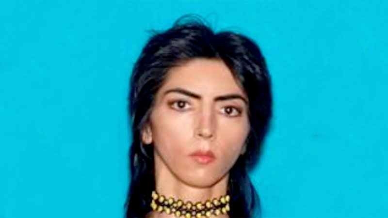 Woman shoots 3, self at YouTube