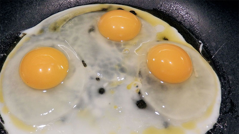 Plastic eggs? What Dubai Municipality says