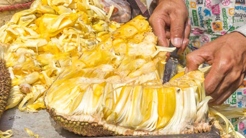 Teen vendor arrested over jackfruit, 12 cops suspended