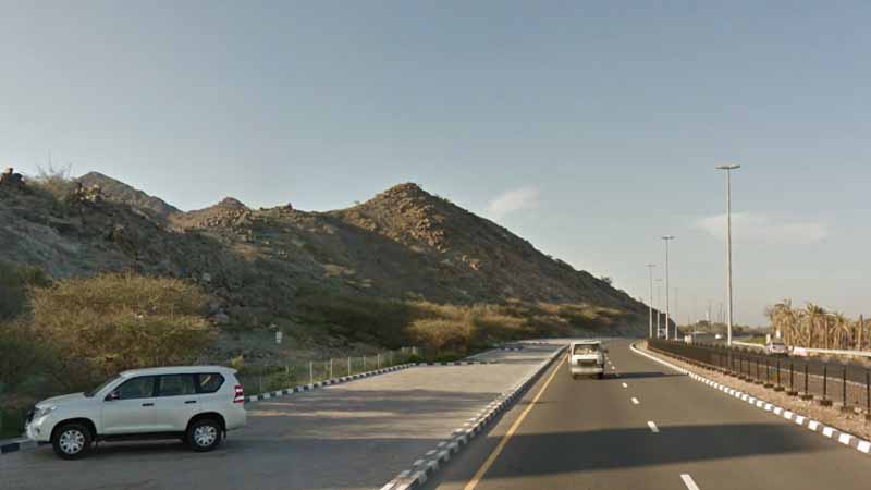 Emirati woman dies after car crashes into palm tree