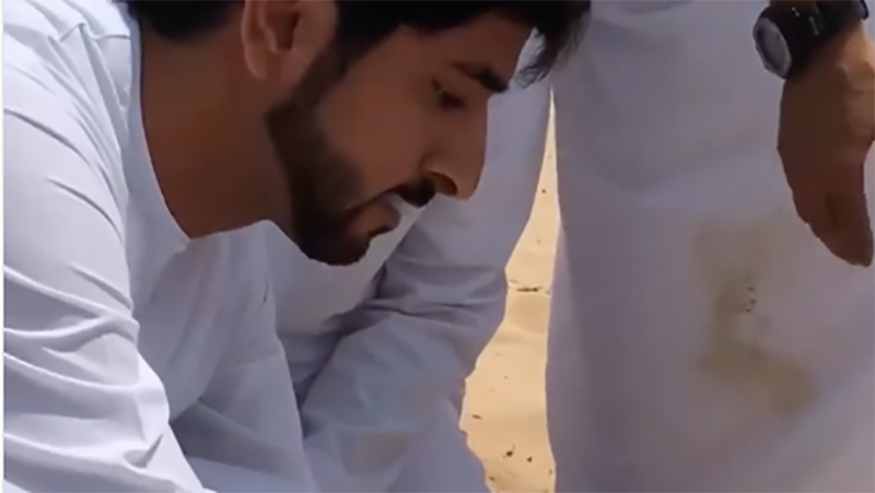 WATCH: Sheikh Hamdan rescues oryx in Dubai