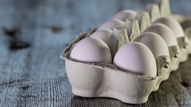 UAE bans eggs, poultry products from Bulgaria