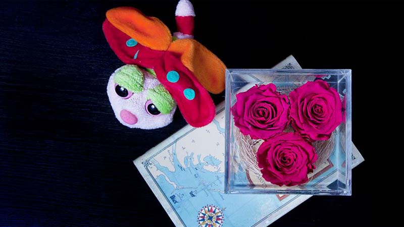 These super roses may last ‘longer than your relationship’