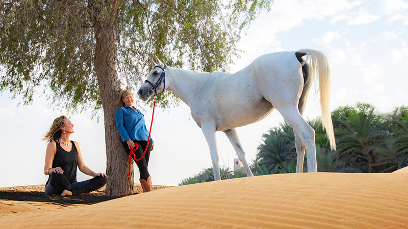 One-of-a-kind yoga retreat in Dubai
