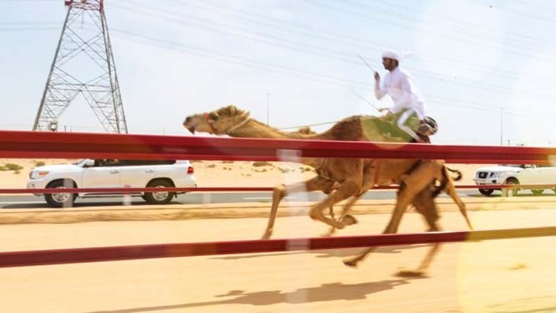 Ajman’s 9 not-so-secret travel hotspots