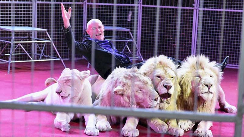 Dubai circus under fire over wild animals