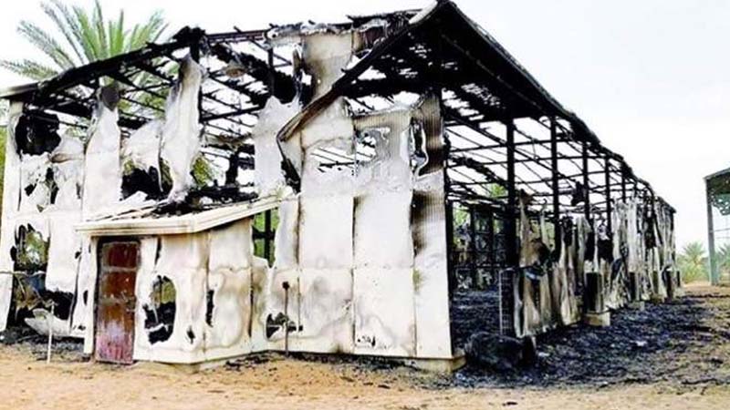Lightning sparks Abu Dhabi fire, kills 50 rare birds worth Dh20 million