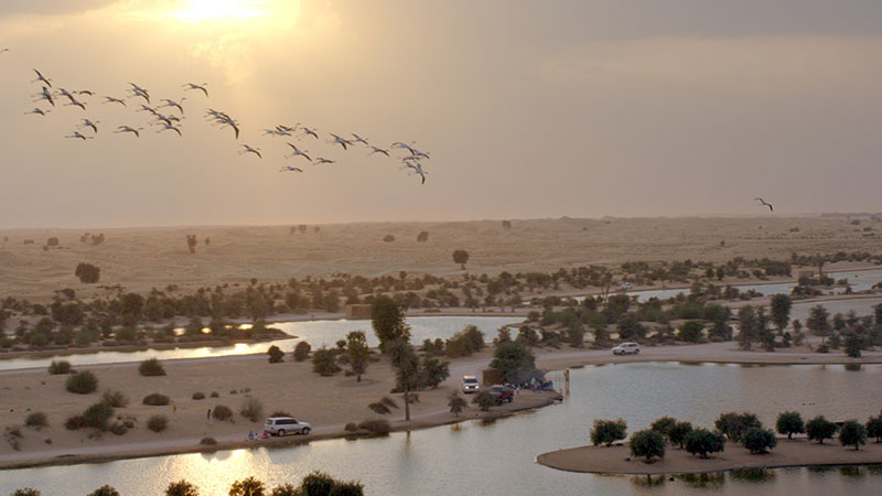 2 Dubai tourism hotspots you shouldn't miss