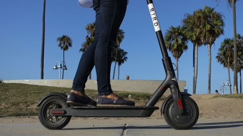 electric scooter
