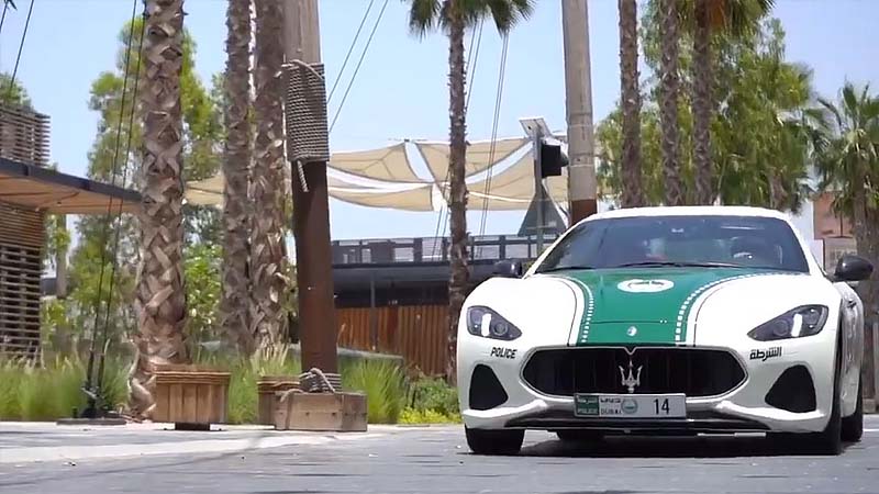 Egyptian who choked Dubai Police officer jailed