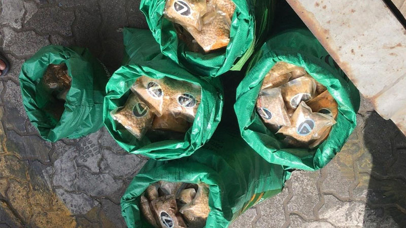 Drug ship carrying Dh3 million illegal pills raided at Dubai port