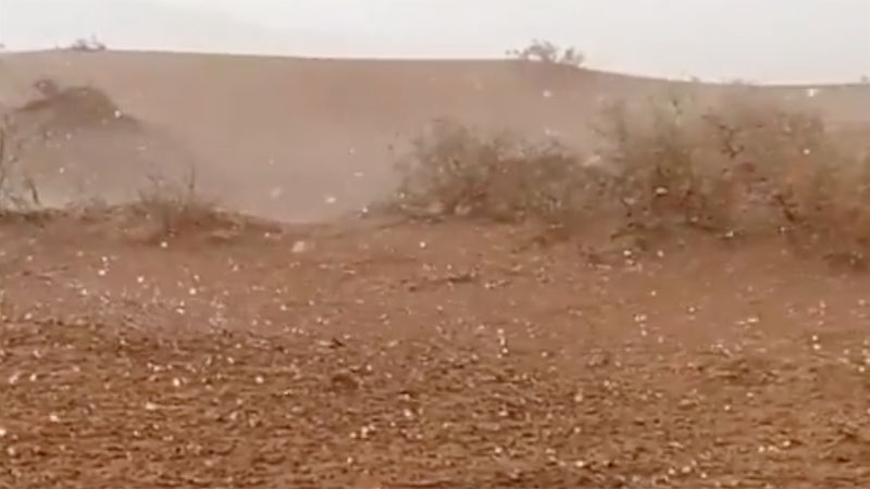 Hail hits Sharjah, rain and haze forecast in UAE