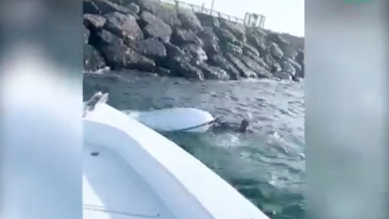 Watch: Man rescued after jet ski crashes in Dubai