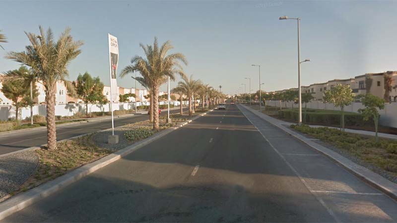 Deadly snakes spotted in Dubai Jumeirah Park