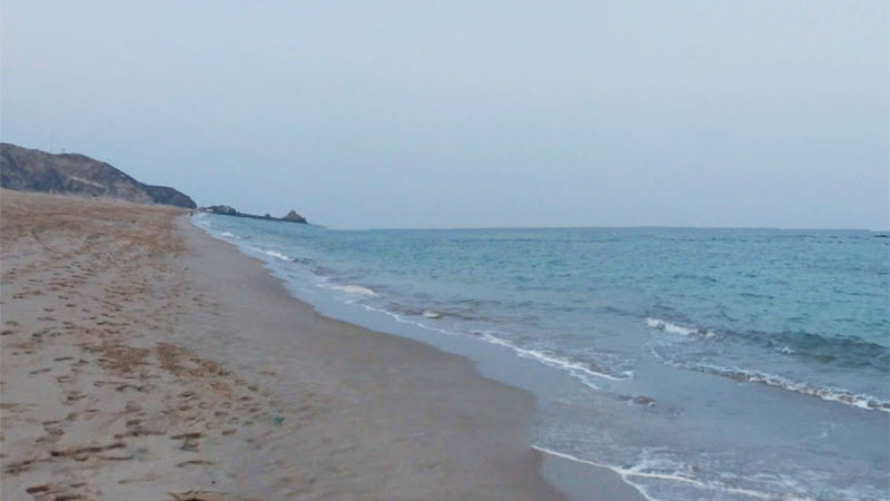 Oil spill forces Fujairah hotels to close beach facilities