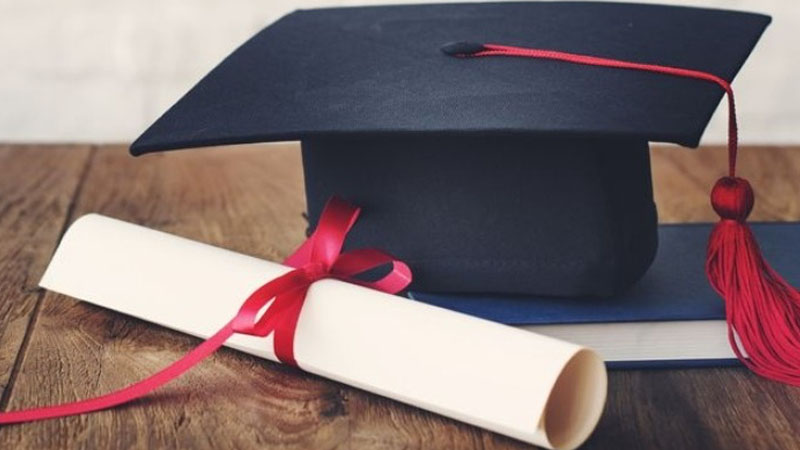 Using fake degrees in UAE will land you in jail, fined up to Dh500,000