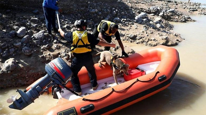 Man missing after UAE floods found dead in Oman