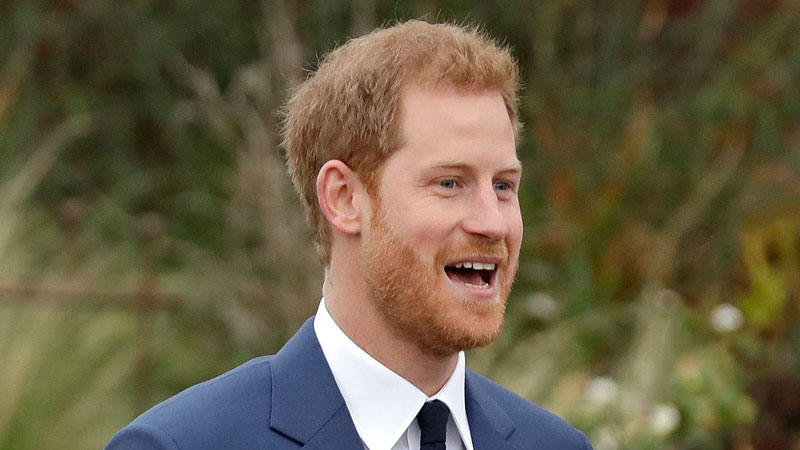 Prince Harry reveals his dream job
