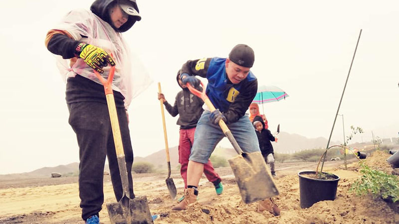 Filipinos in UAE on mission to plant trees in Hatta