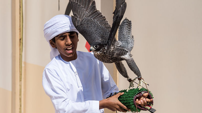 UAE falconry championship sets record for number of young falconers