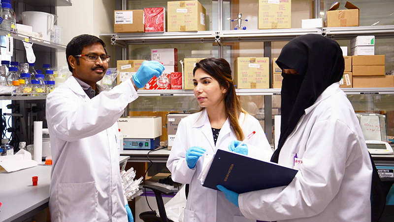 Abu Dhabi researchers design new cancer drug delivery technology